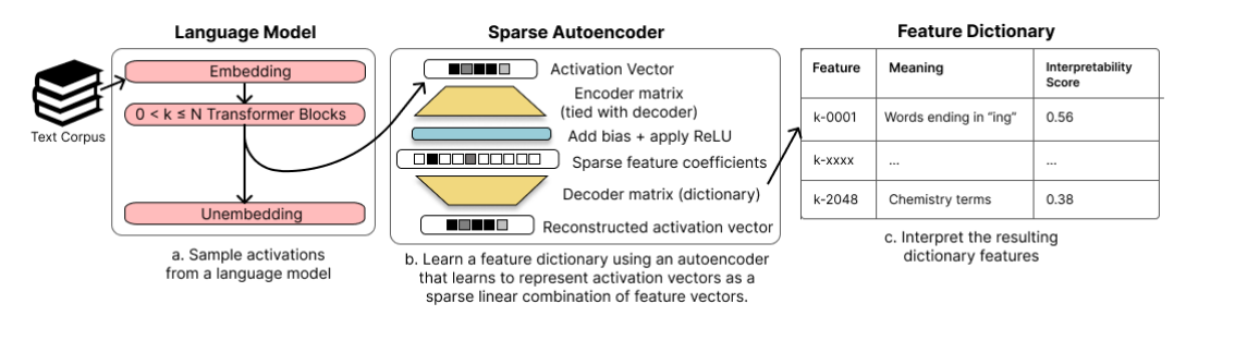Figure 1 — Sample, train, interpret: the SAE pipeline